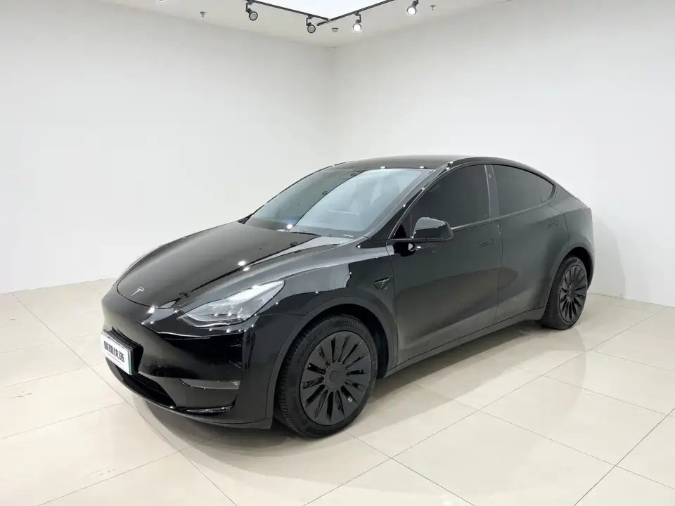 Tesla Model Y Model Long Range AWD 2021
