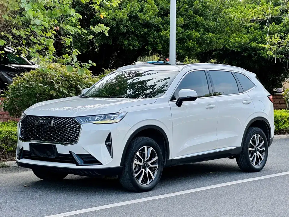 Haval H6 3rd Gen 1.5T Auto 2WD Pro 2022