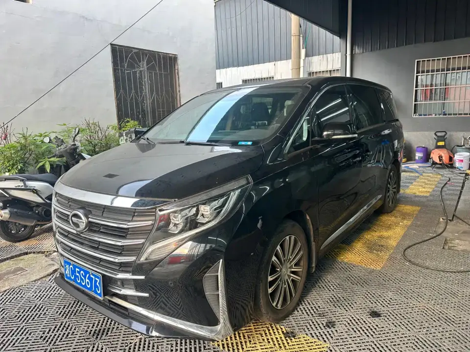 GAC Trumpchi M8 Leading Series 390T Ultimate Edition 2022