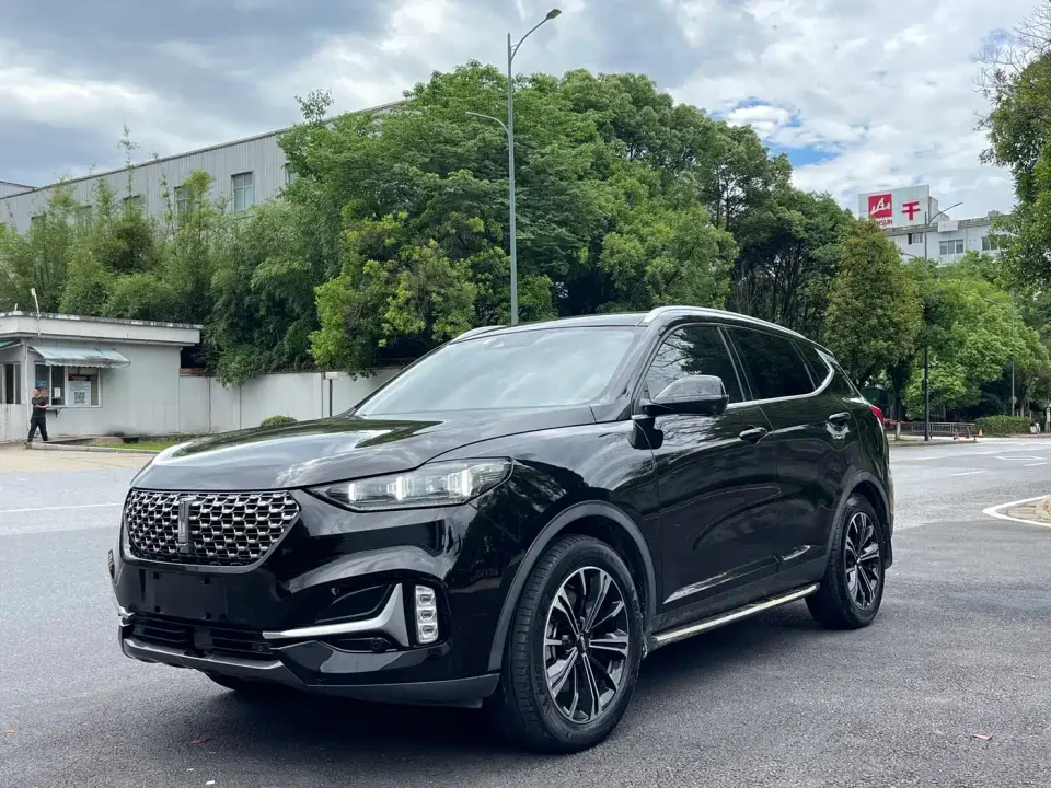 Wey VV6 2.0T 2WD Smart Protection+ 2019