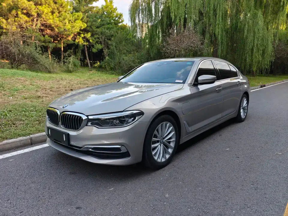 BMW 5 Series New Energy 530Le Luxury Package 2019