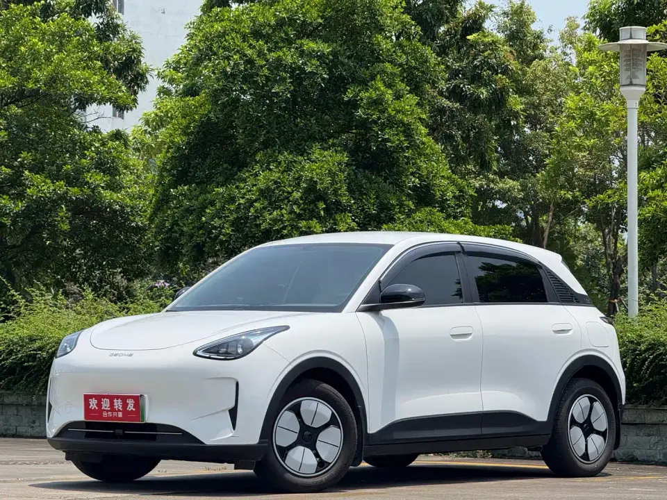 Geely Galaxy Starry Wish 310km Youth Edition 2025