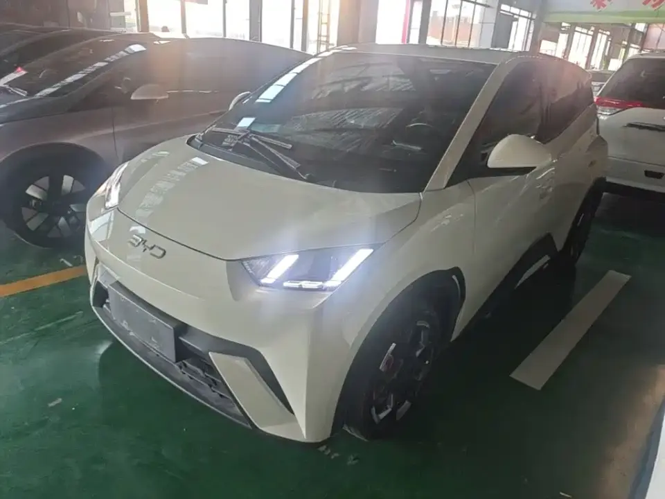 BYD Seagull 305km Freedom 2024