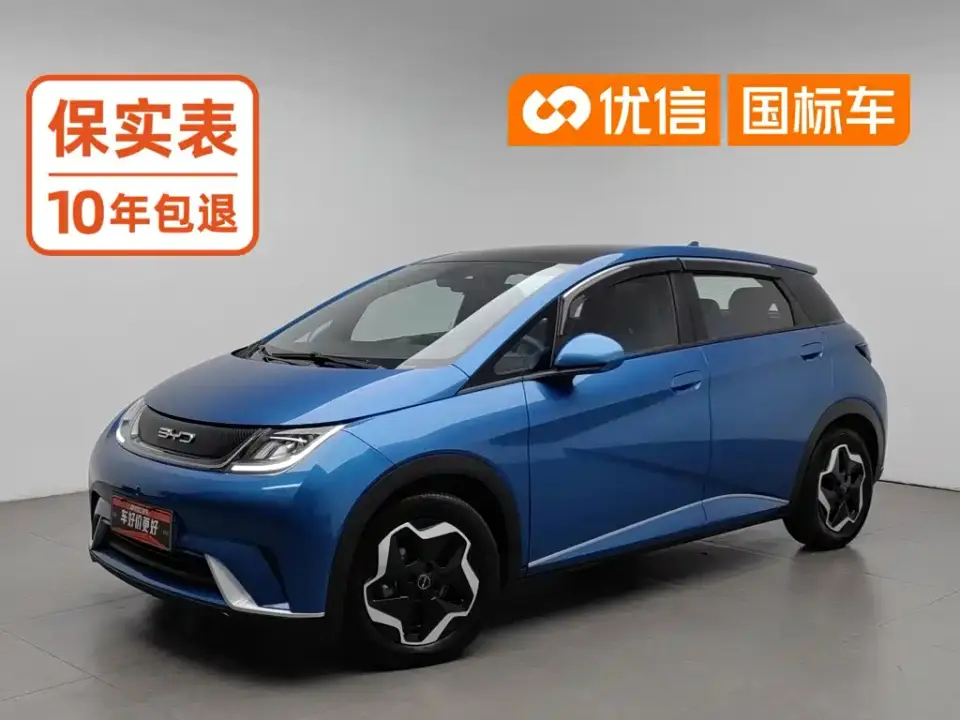 BYD Dolphin Model 405km Fashion Edition 2022