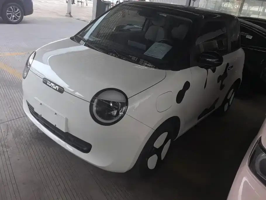 Changan Qiyuan Changan Lumin Model 205km Fragrant Edition 2024