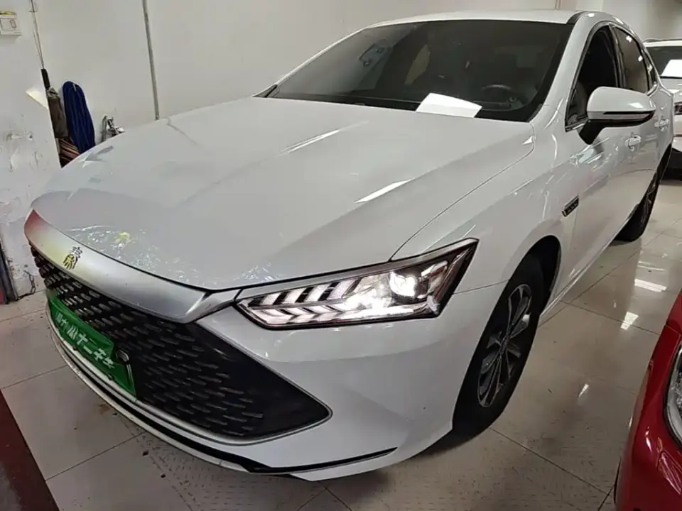 BYD Qin PLUS Glory Edition DM-i 55KM Leading 2024