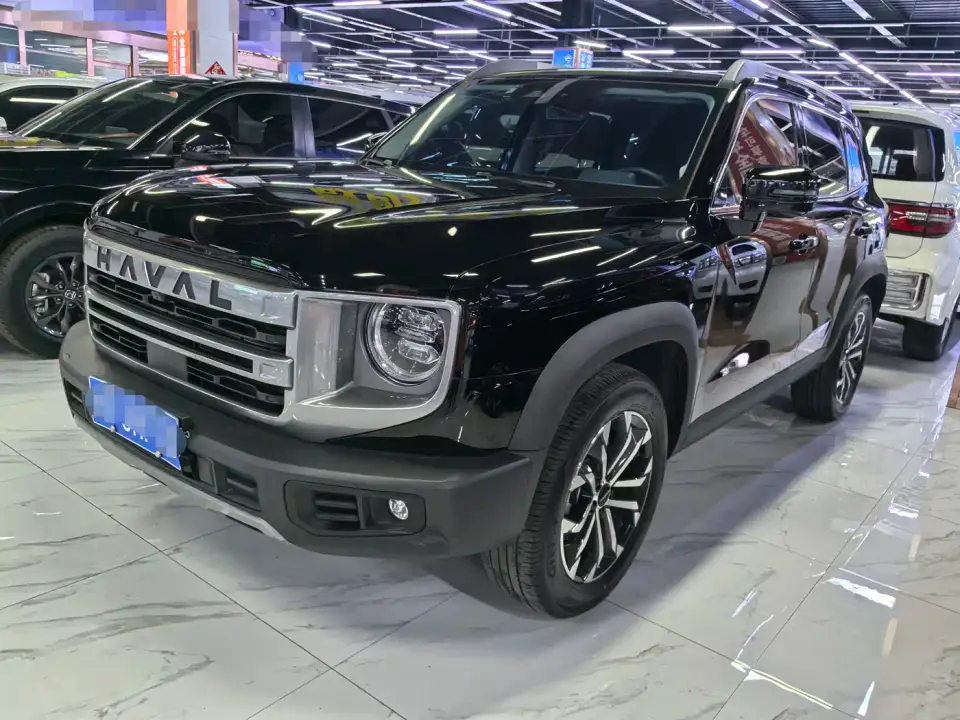 Haval Big Dog 1.5T DCT Border Collie Edition 2025