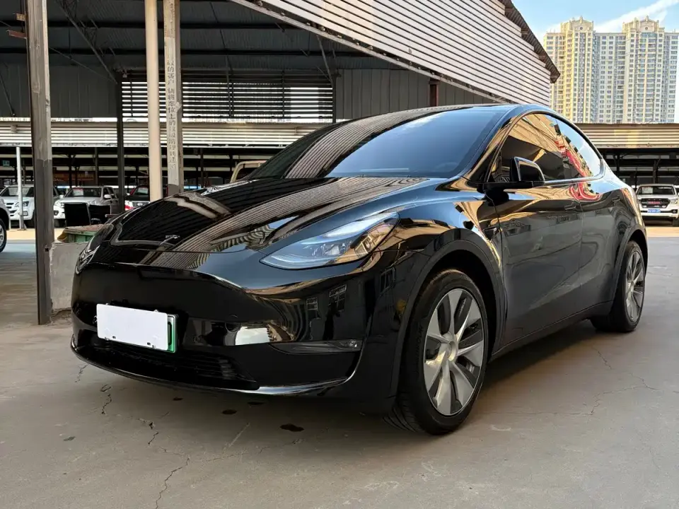 Tesla Model Y Standard Range Rear-Wheel Drive 2021