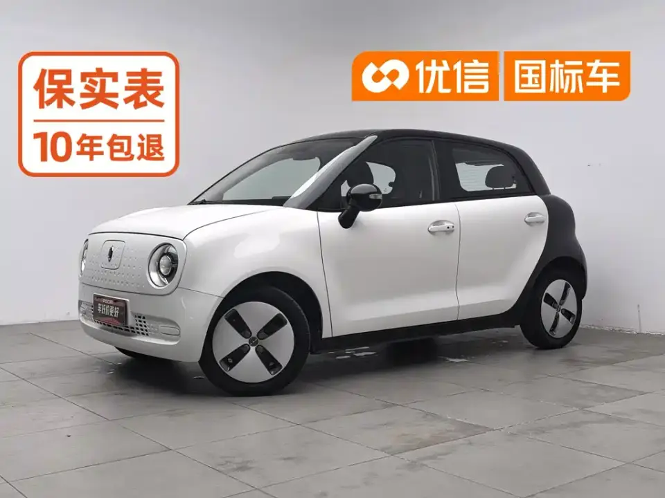 ORA Black Cat 301km Basic Model 2020
