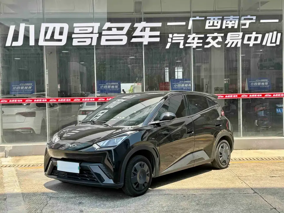 BYD Seagull 305km Vitality 2024