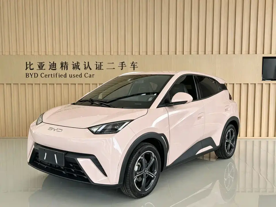 BYD Seagull Flying Edition 2023