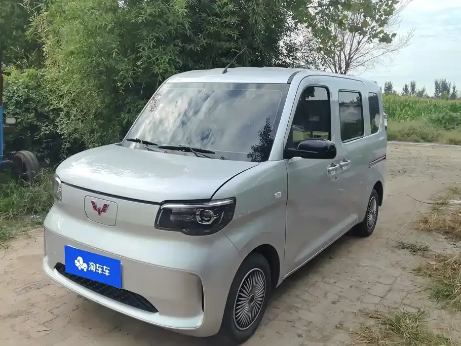 Wuling Motors Wuling Zhiguang NEV Standard Version 2025