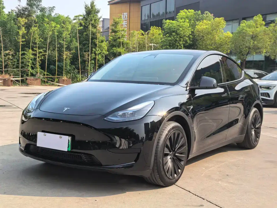 Tesla Model Y Rear-Wheel Drive Edition 2024