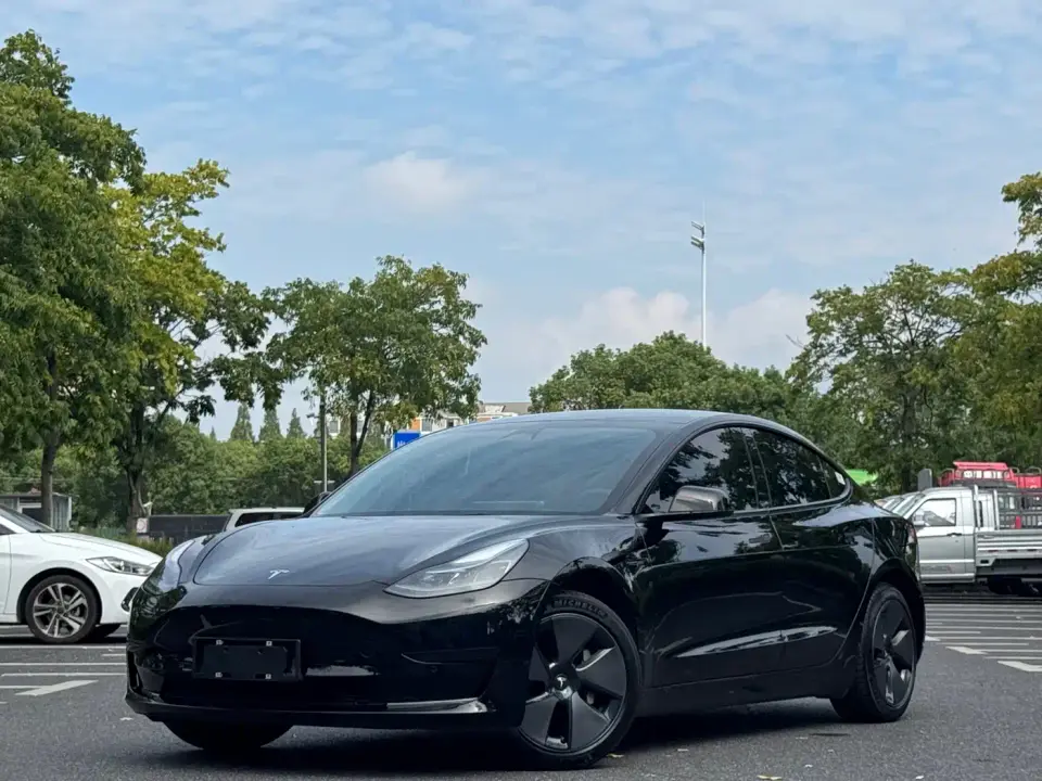 Tesla Model 3 Model Rear-Wheel Drive Version 2023