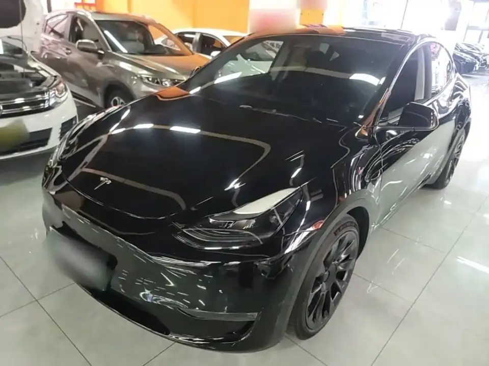 Tesla Model Y Rear-Wheel Drive Version 2022