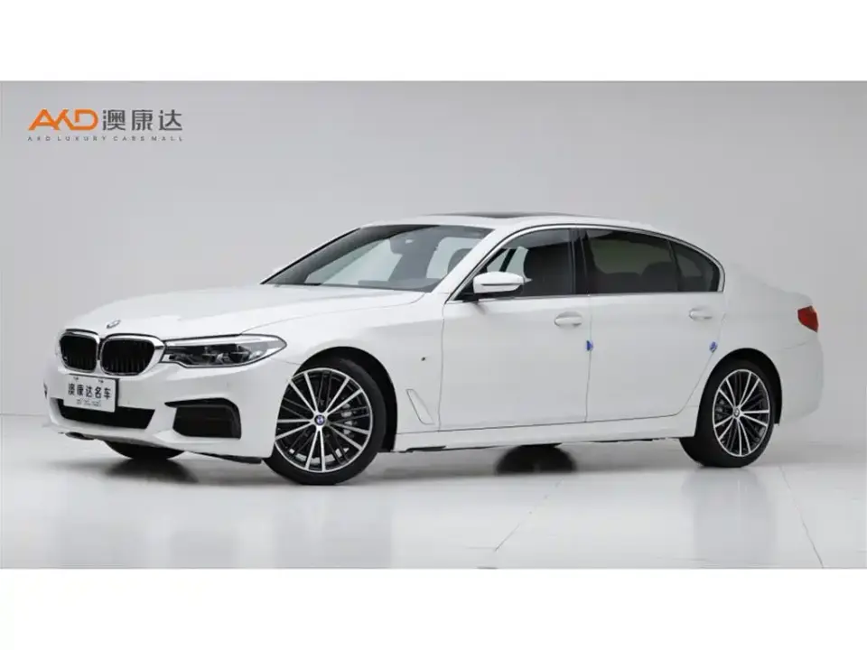 BMW 5 Series 530Li Leading M Sport Package 2020