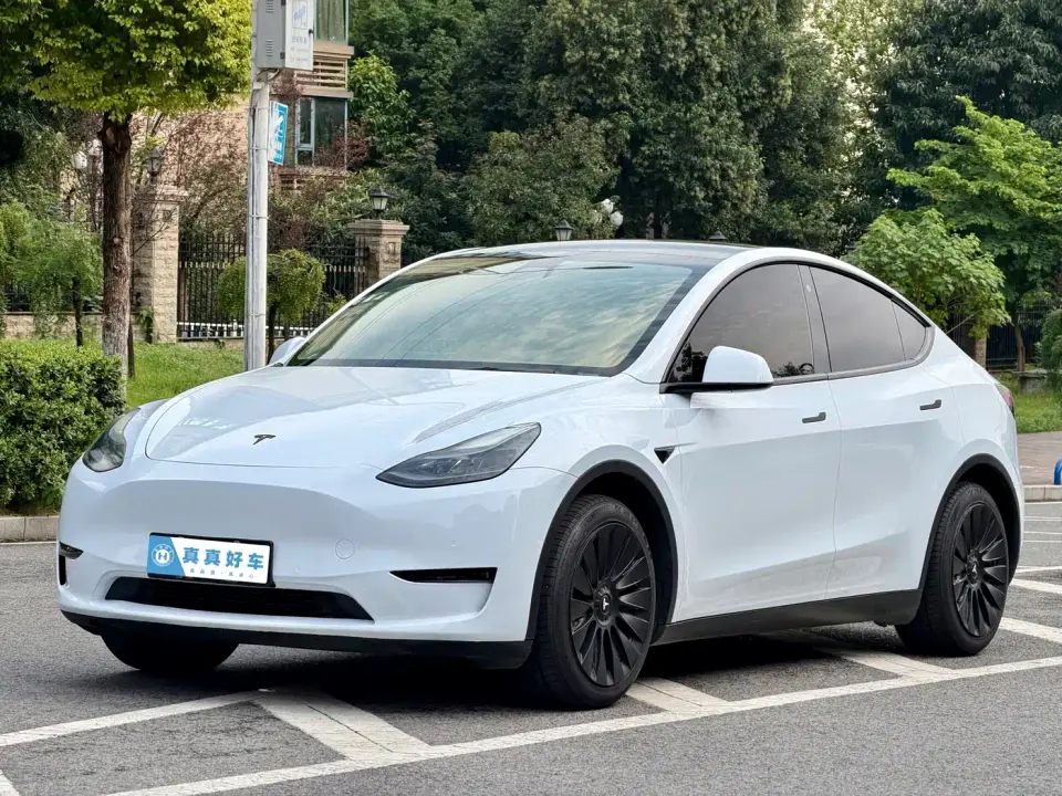 Tesla Model Y Standard Range Rear-Wheel Drive 2021