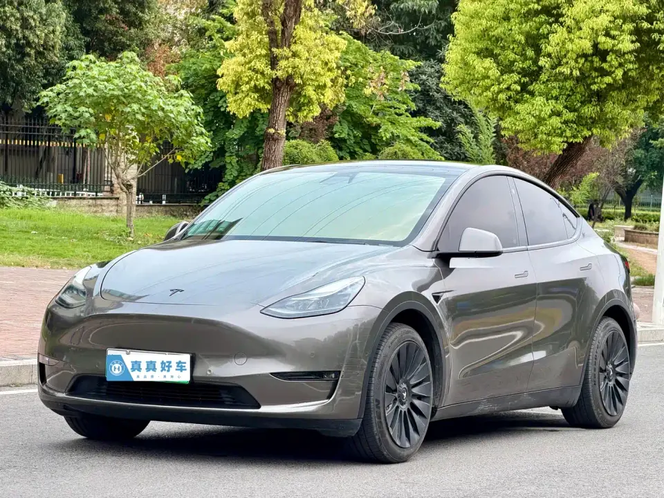 Tesla Model Y Standard Range Rear-Wheel Drive 2021