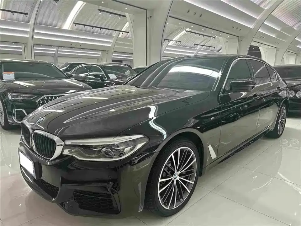 BMW 5 Series 530Li Exclusive M Sport Package 2020