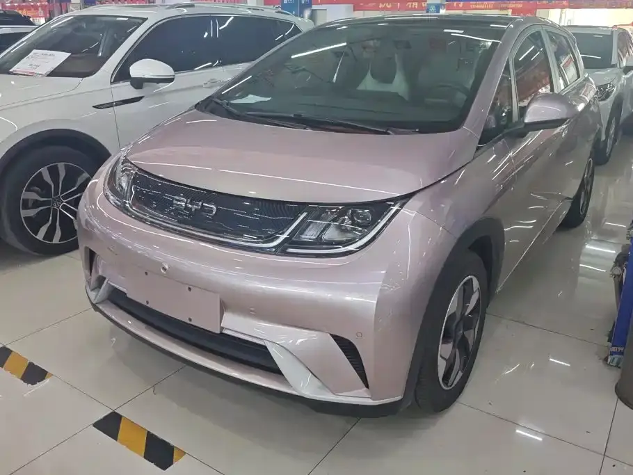 BYD Dolphin Glory Edition 420km Fashion Edition 2024