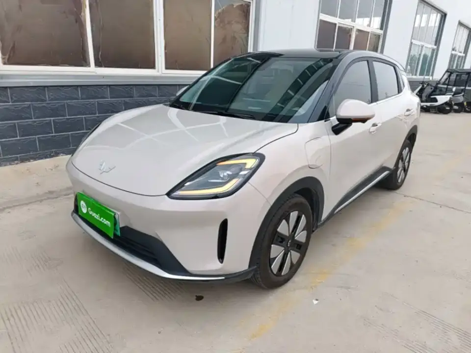 Wuling Motors Wuling Bingo S Model 325km Premium Edition 2025