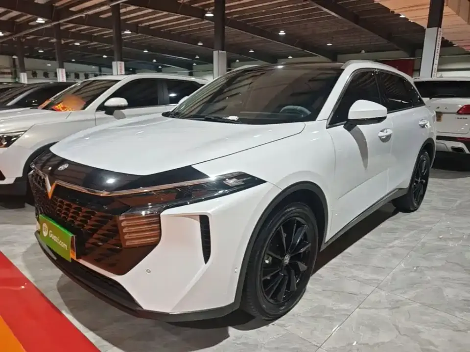 Venucia Big V 260T King Edition 2022