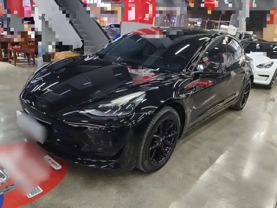 Tesla Model 3 Model Rear-Wheel Drive Version 2022