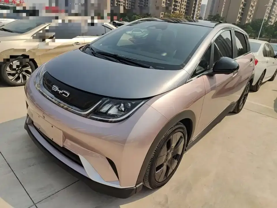 BYD Dolphin 401km Knight Edition 2022