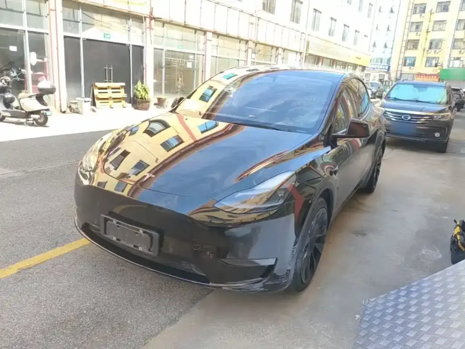 Tesla Model Y Standard Range Rear-Wheel Drive 2021