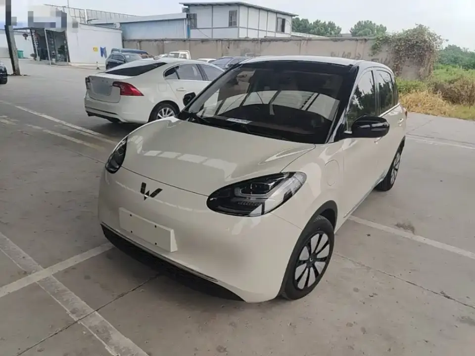 Wuling Motors Wuling Bingo 333km Smart Connect Edition 2024