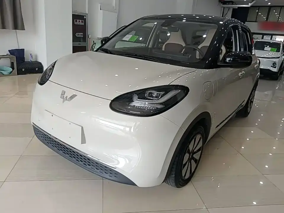 Wuling Motors Wuling Bingo Model 333km Joy+ Version 2024