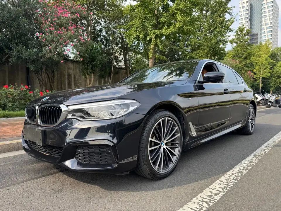 BMW 5 Series 530Li Exclusive M Sport Package 2020