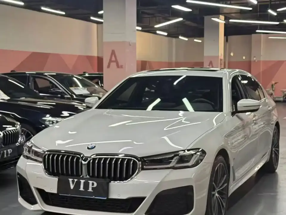 BMW 5 Series 530Li Leading M Sport Package 2021