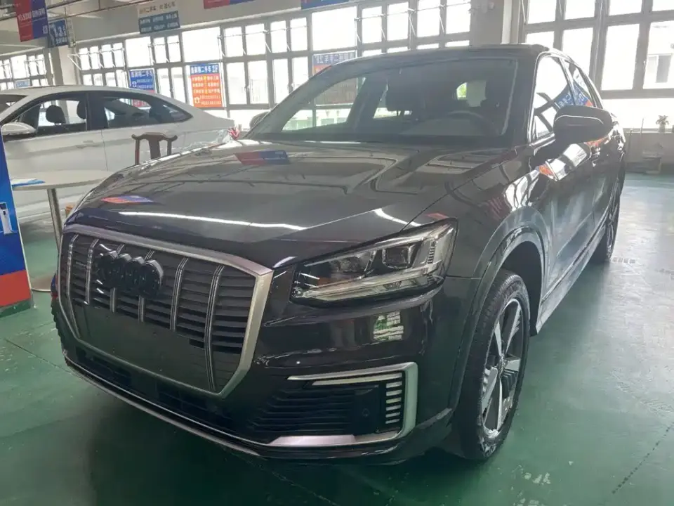 Audi Q2L e-tron Q2L e-tron Pure Electric Smart Enjoyment 2021