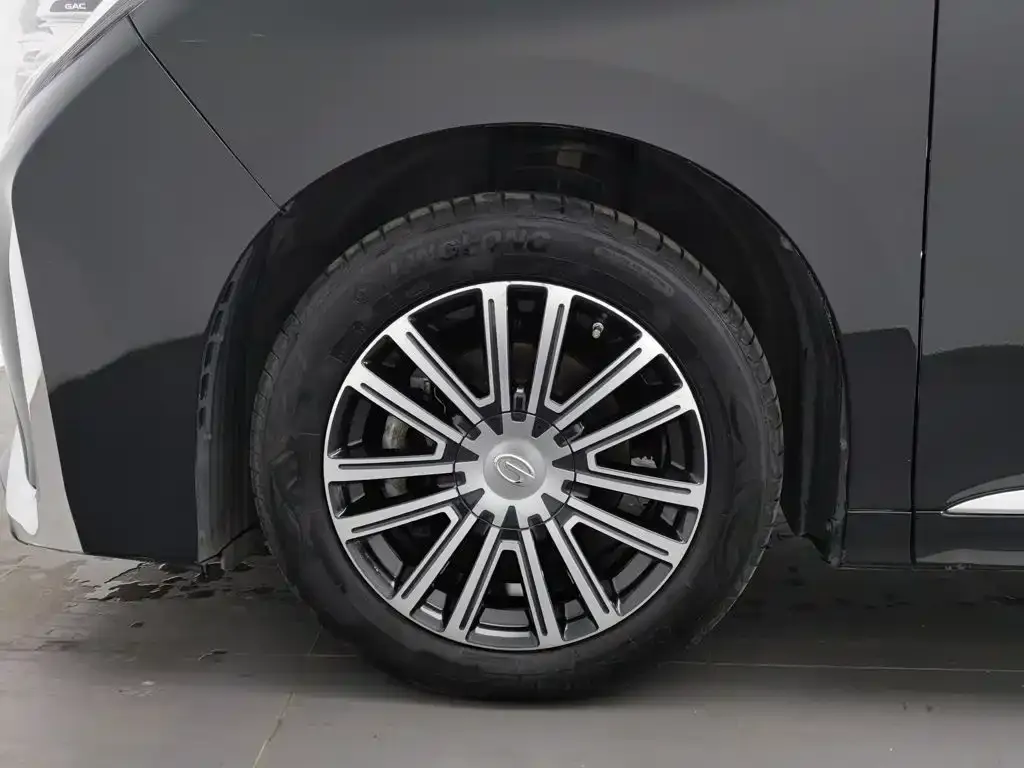 GAC Trumpchi M8 Leading Show Series 390T Ultimate Edition 2020 — фото 17