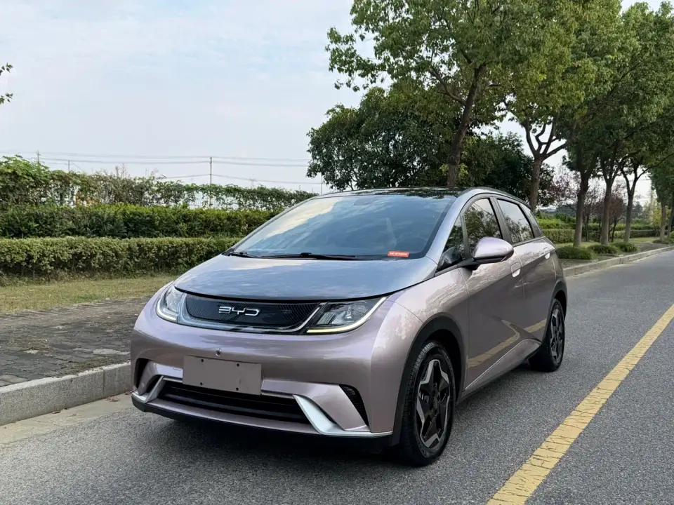 BYD Dolphin Model 405km Fashion Edition 2022