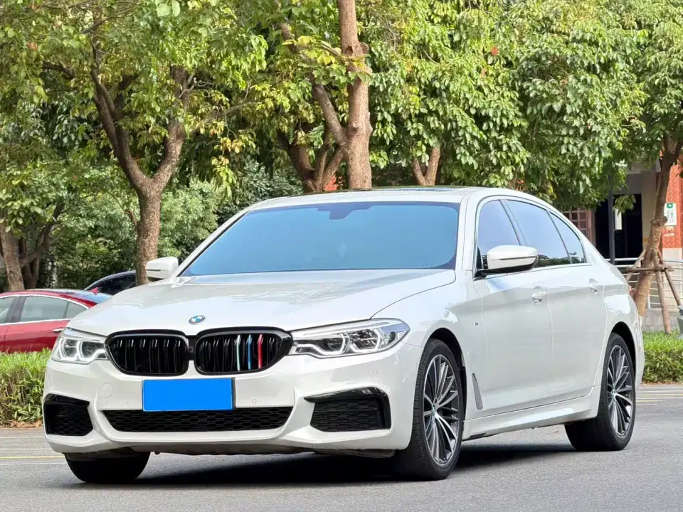 BMW 5 Series 530Li Leading M Sport Package 2019