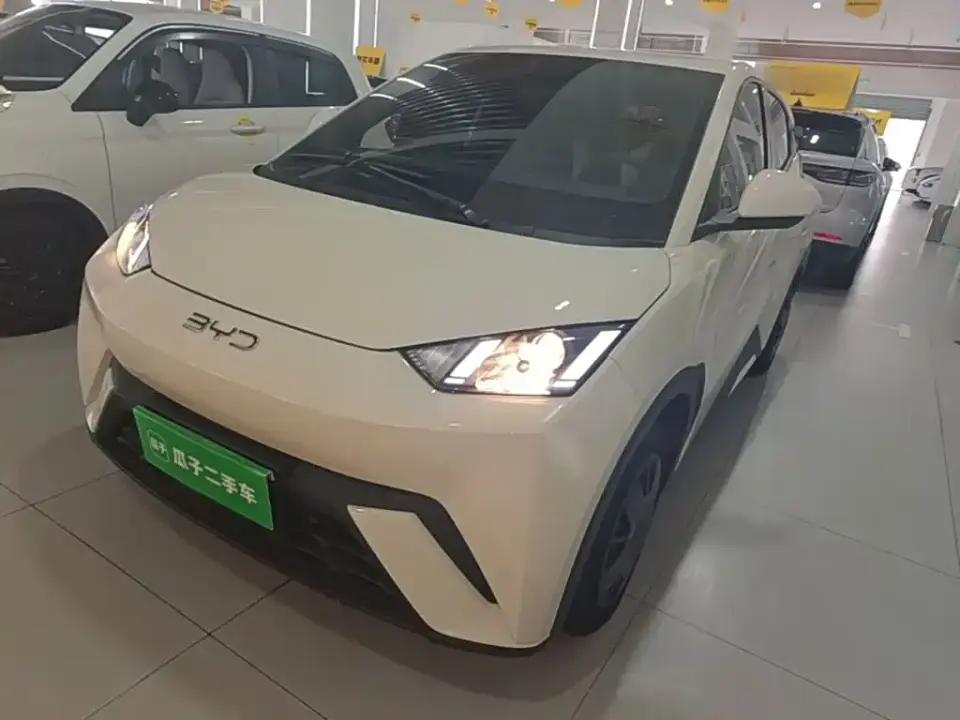 BYD Seagull Vitality Edition 2024