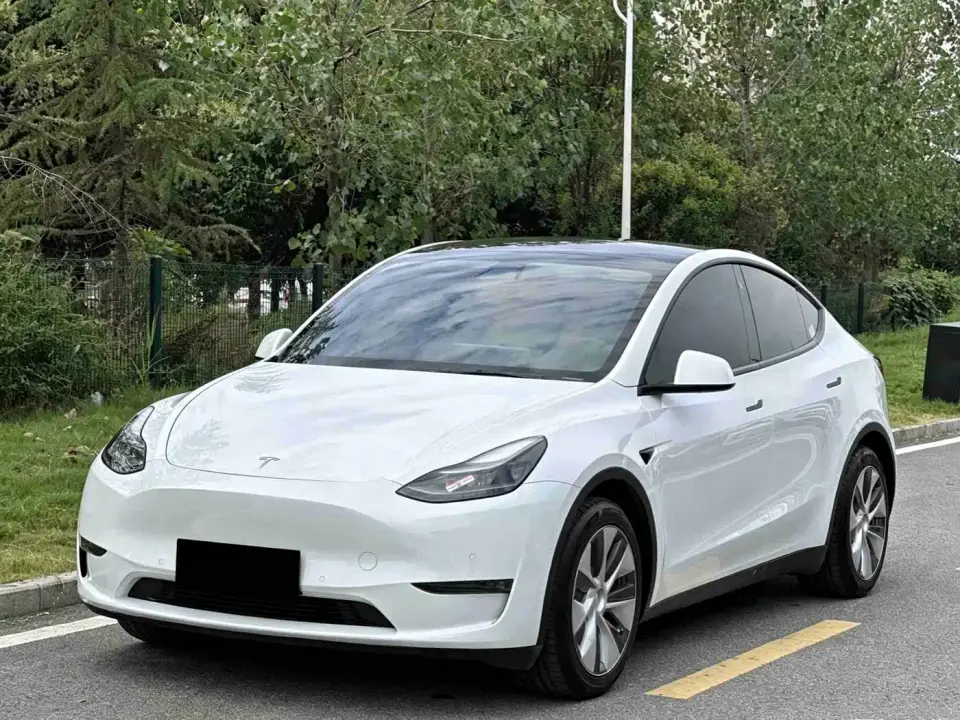Tesla Model Y Standard Range Rear-Wheel Drive 2021