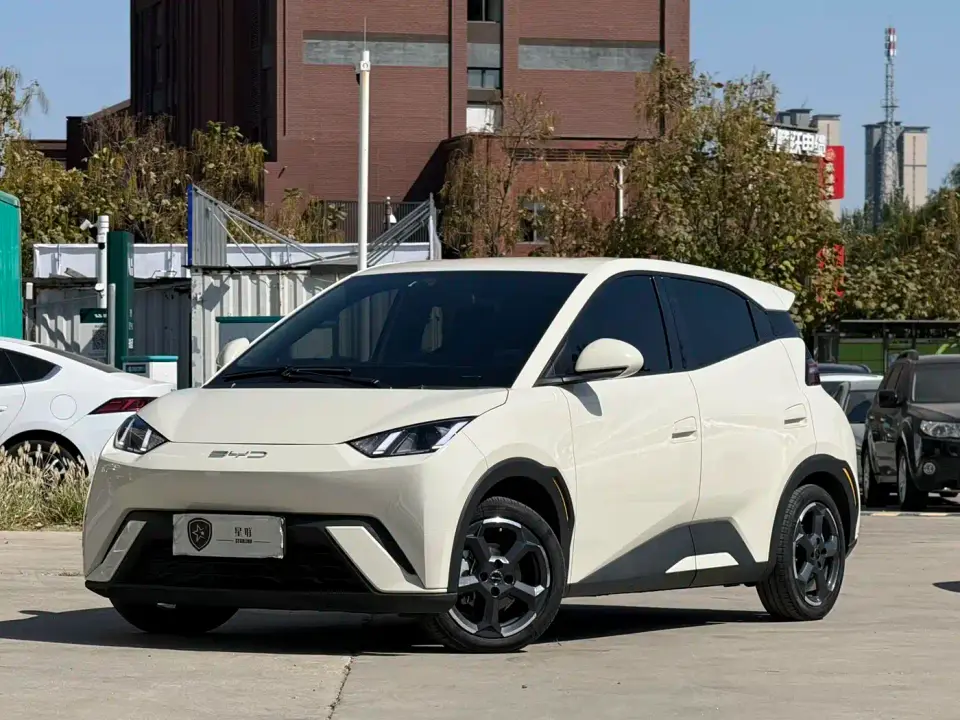 BYD Seagull Glory Edition 305km Freedom Edition 2024