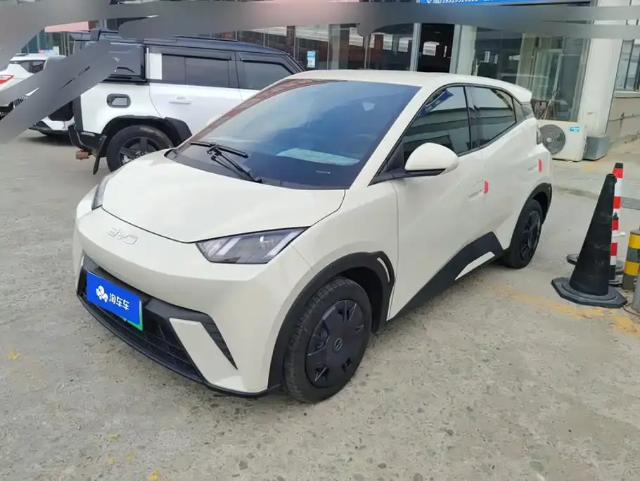 BYD Seagull Glory Edition 305km Vitality Edition 2024