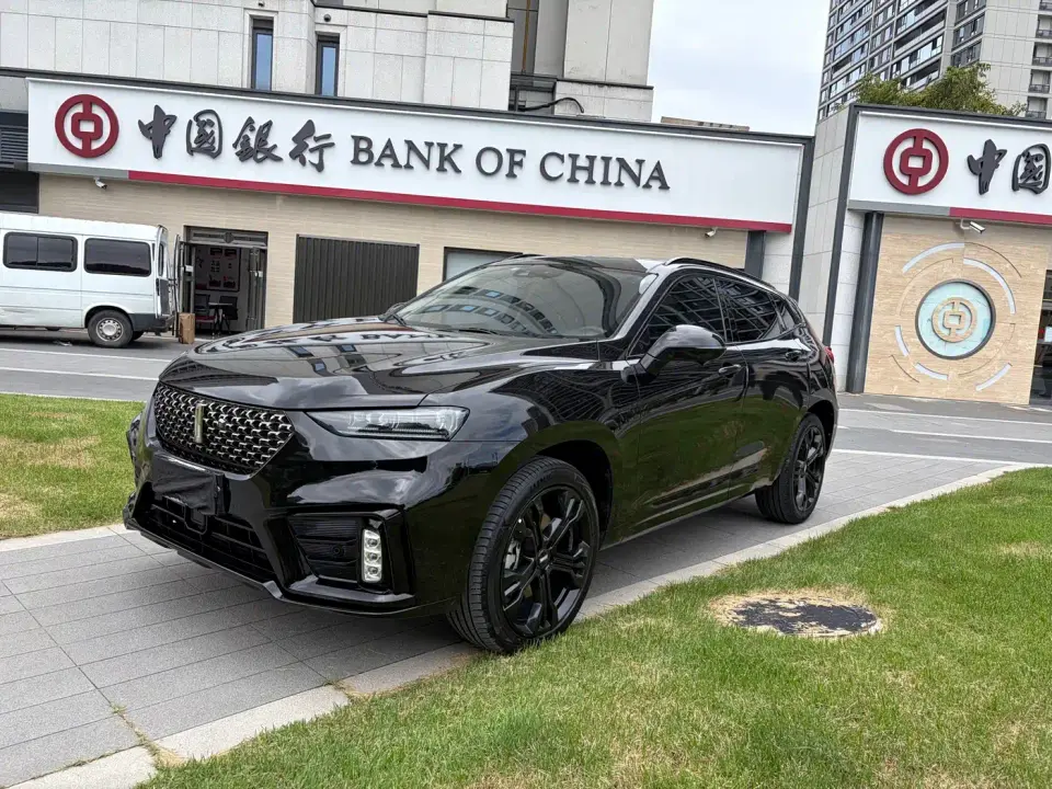Wey VV7 Model 2.0T Flagship 2019