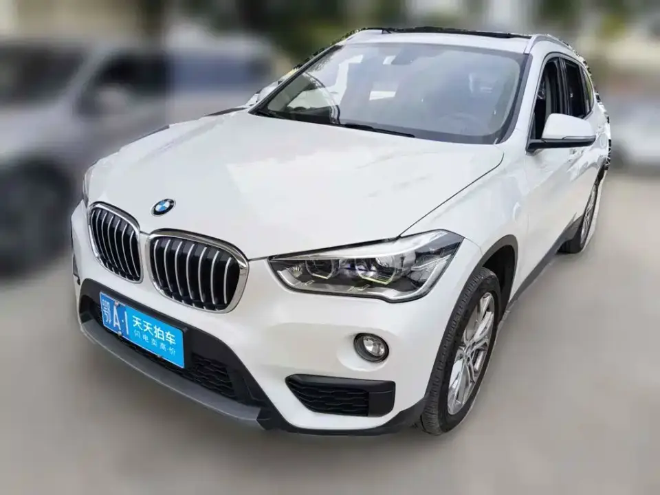 BMW X1 sDrive20Li Leading Model 2019