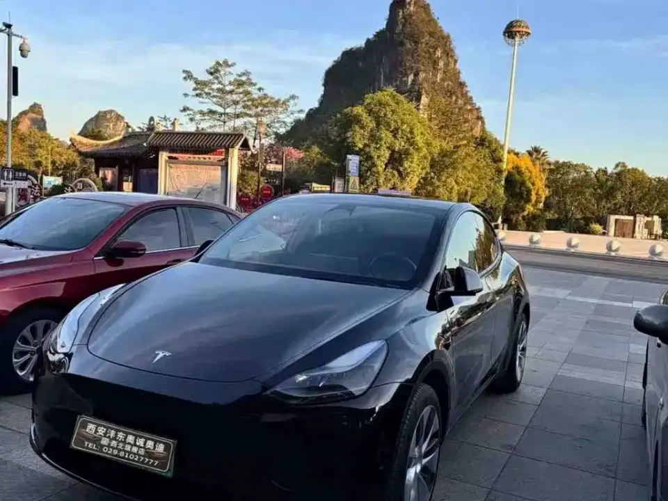 Tesla Model Y Rear-Wheel Drive Version 2023