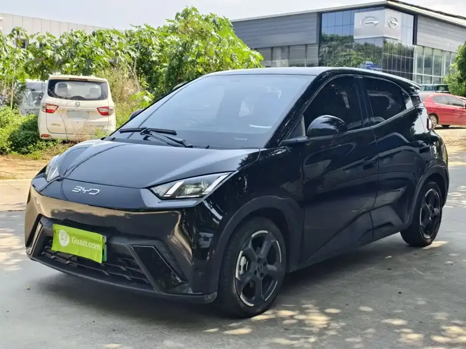 BYD Seagull Glory Edition 405km Soaring Edition 2024