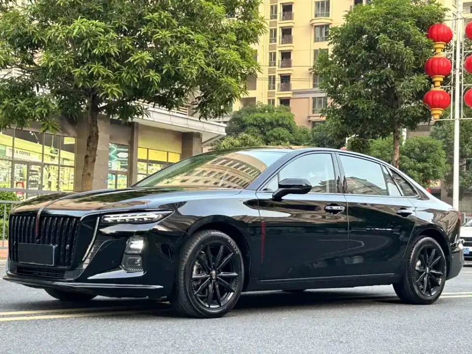 Hongqi H5 2.0T Automatic Mystic Shadow 2024