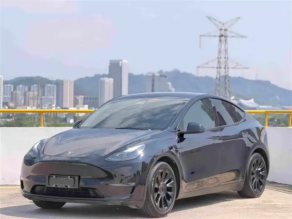 Tesla Model Y Standard Range Rear-Wheel Drive 2021