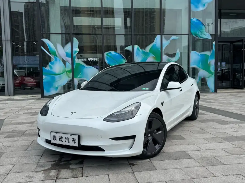 Tesla Model 3 Model Rear-Wheel Drive Version 2023