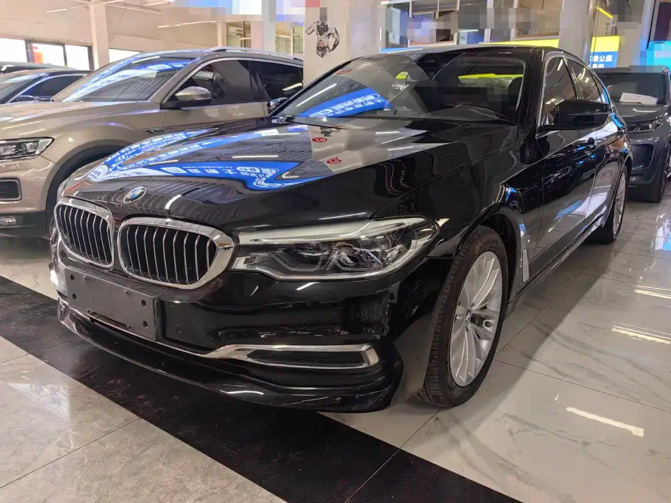 BMW 5 Series New Energy 530Le Luxury Package 2019