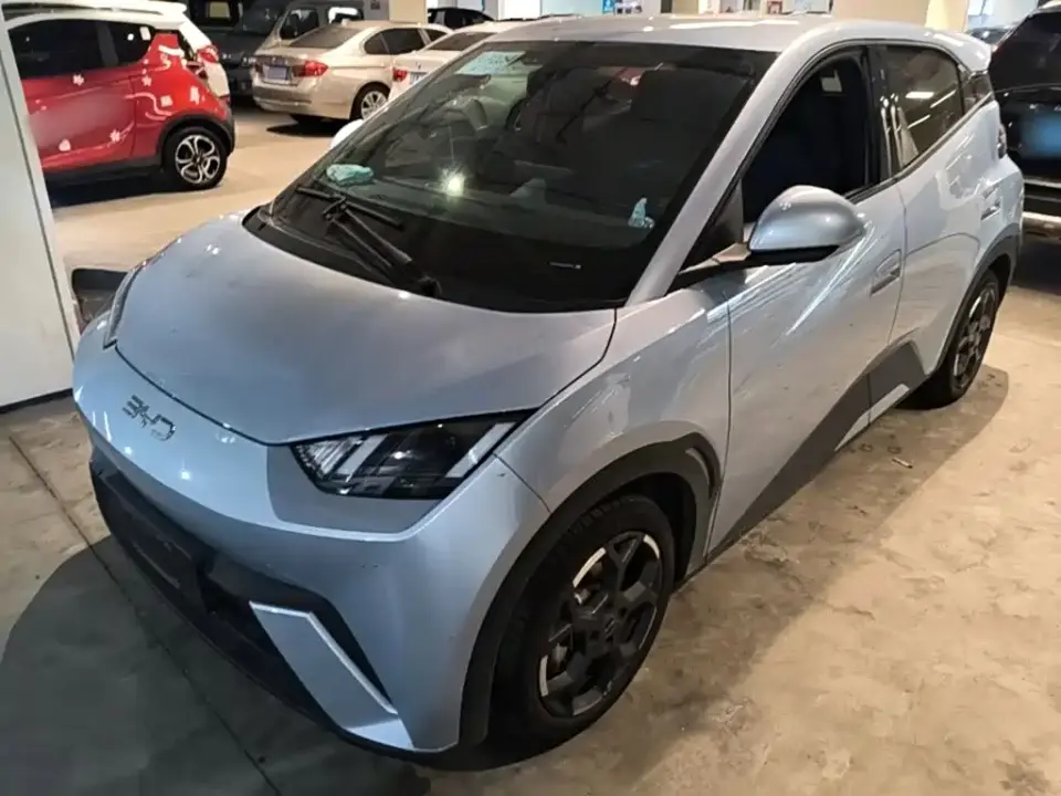 BYD Seagull 305km Freedom 2024